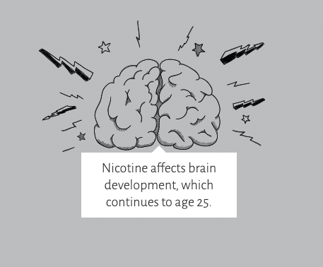 nicotine affects brain