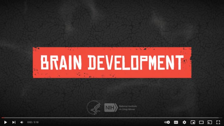 Teen Brain Development